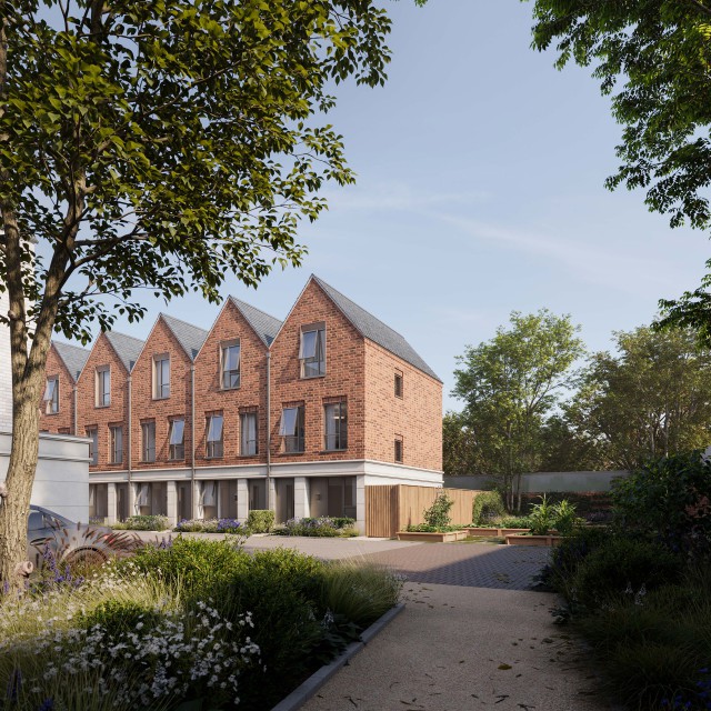 Buzz Bingo Community Garden